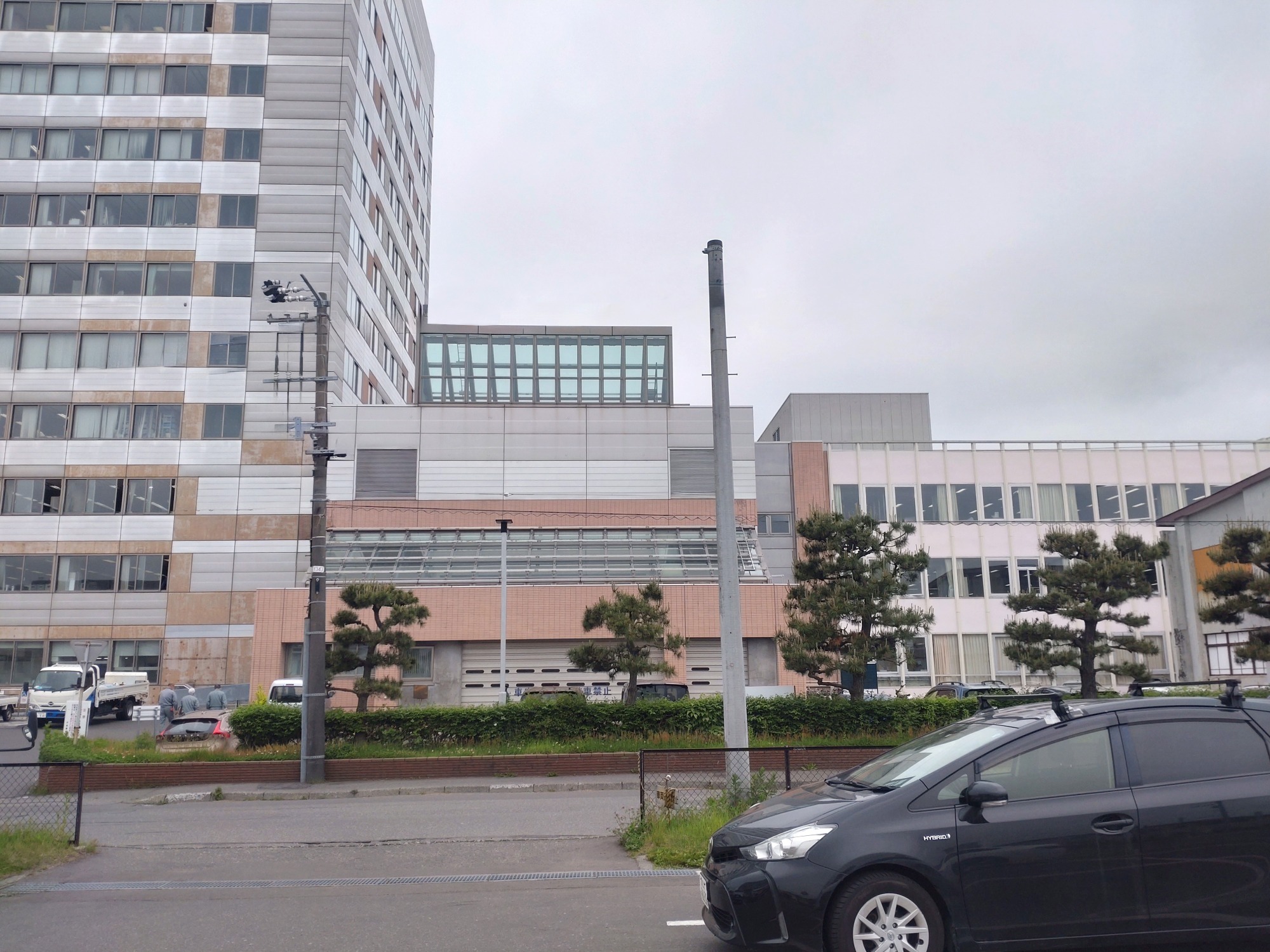 苫小牧市庁舎ホール棟屋上防水改修工事　R6.11